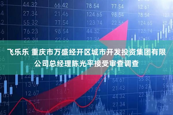 飞乐乐 重庆市万盛经开区城市开发投资集团有限公司总经理陈光平接受审查调查