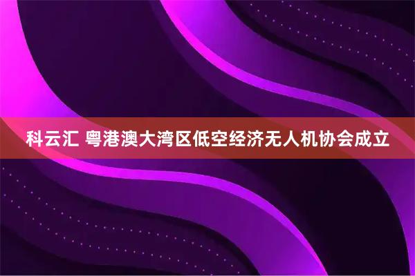科云汇 粤港澳大湾区低空经济无人机协会成立
