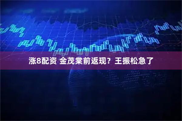 涨8配资 金茂棠前返现？王振松急了