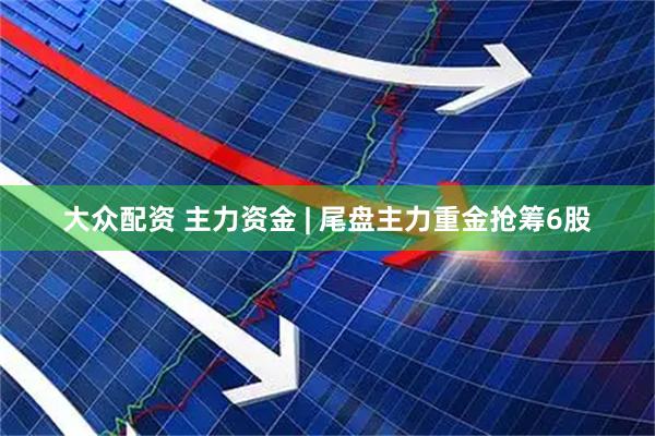 大众配资 主力资金 | 尾盘主力重金抢筹6股