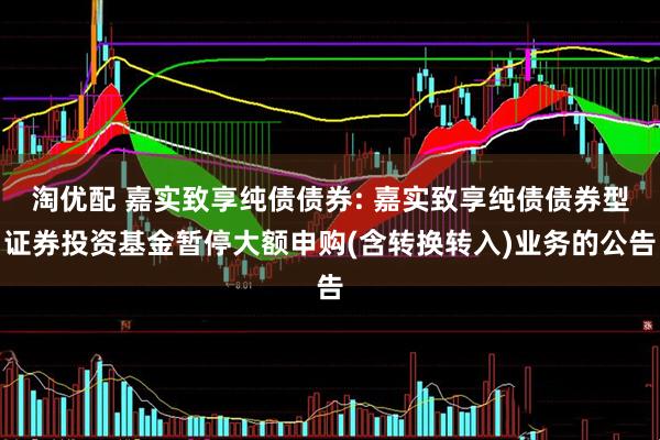 淘优配 嘉实致享纯债债券: 嘉实致享纯债债券型证券投资基金暂停大额申购(含转换转入)业务的公告