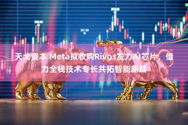 天戈资本 Meta拟收购Rivos发力AI芯片，借力全栈技术专长共拓智能新篇