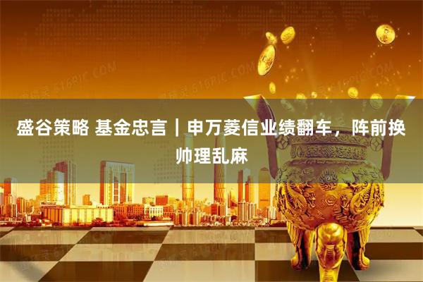 盛谷策略 基金忠言｜申万菱信业绩翻车，阵前换帅理乱麻